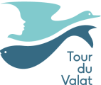 LOGO_TDV_360