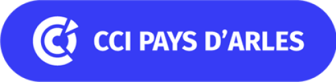 logo-CCI-Pays-d-Arles-100